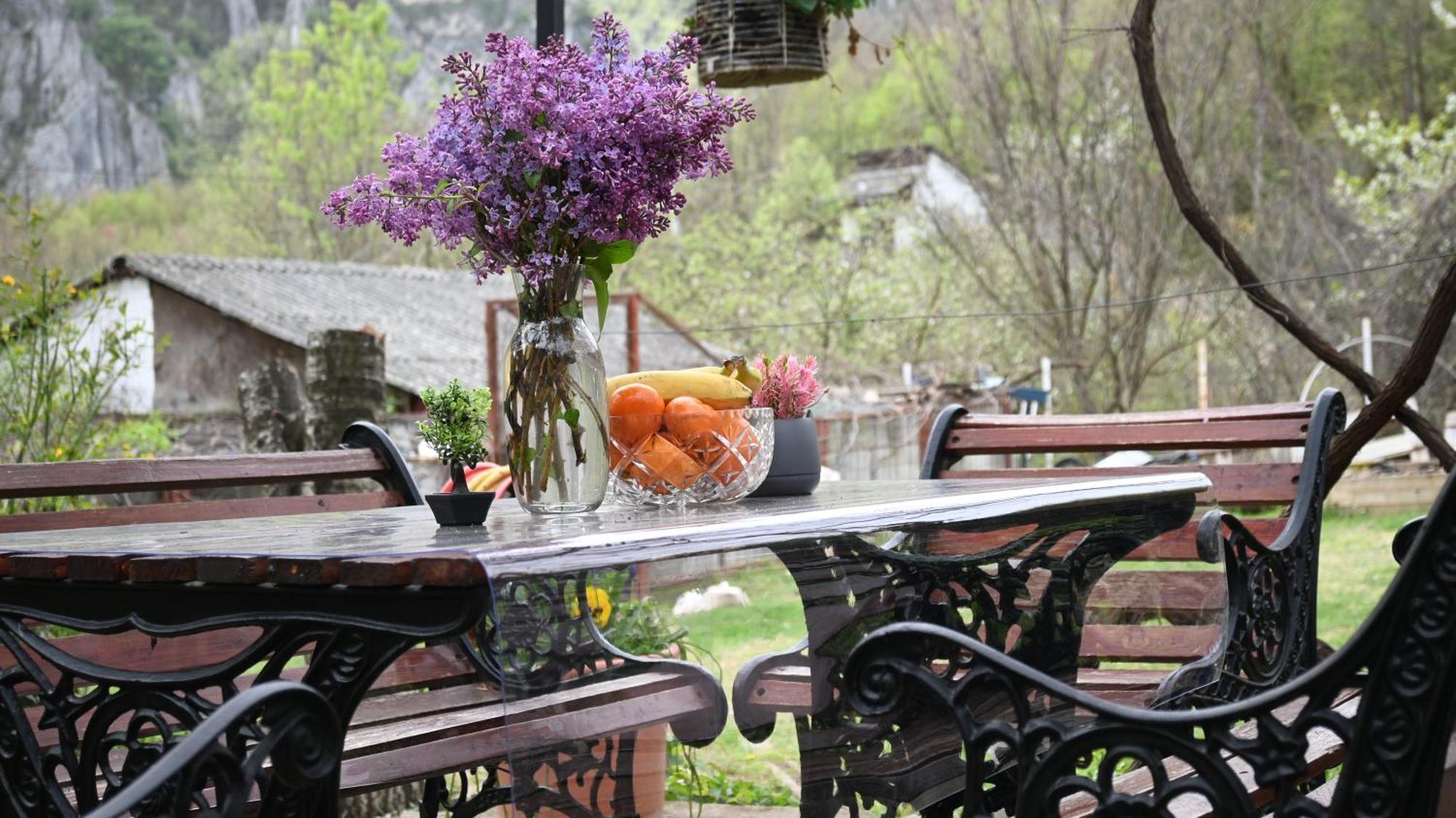 Canyon Matka - Unique Place For Stay Skopje Eksteriør billede